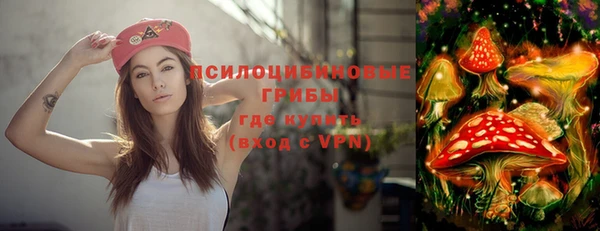 бошки Новодвинск