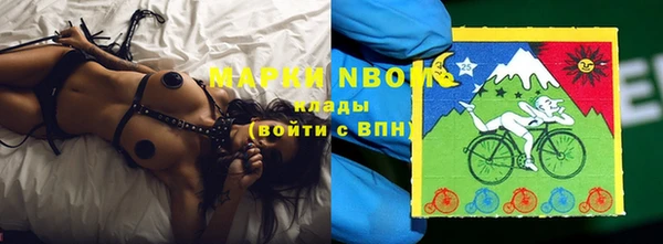 гидропоника Новокубанск