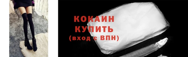 бошки Новодвинск