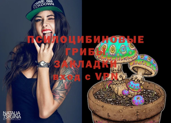 шишки Чердынь