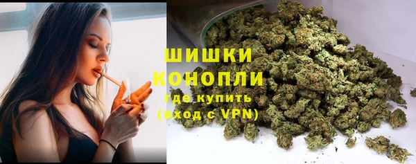 гидропоника Новокубанск