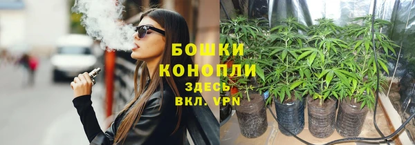 гидропоника Новокубанск