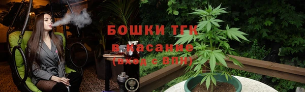 шишки Няндома
