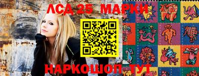 эйфоретик Аргун