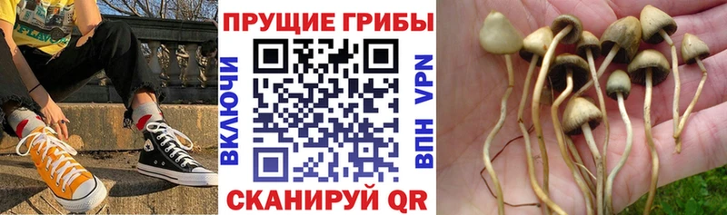 сколько стоит  Сатка  Галлюциногенные грибы ЛСД 