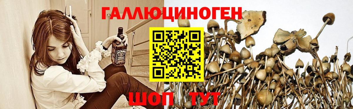 Сатка  Галлюциногенные грибы GOLDEN TEACHER  купить наркоту  Вход с VPN 