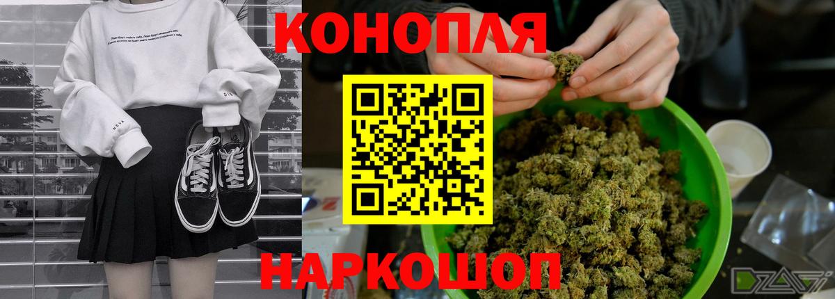 Бошки Шишки сатива  Бошки Шишки конопля  Сатка 